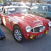 tn_DSC03298