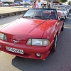 tn_DSC03320