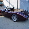 tn_DSC03345