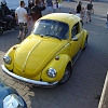 tn_DSC03346