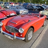 tn_DSC03392
