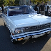 DSCN0959