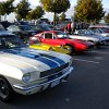 DSCN2174