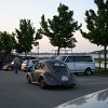 IMG_7437
