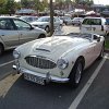 tn_DSC03613