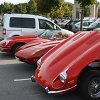 IMG_1156