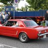 IMG_1237