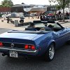 IMG_7904