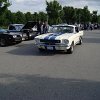 tn_DSC04434