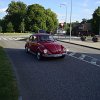 tn_DSC04565