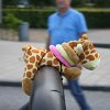 IMG_0846