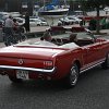 IMG_9705