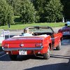 IMG_8638